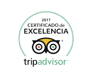 tripadvisor